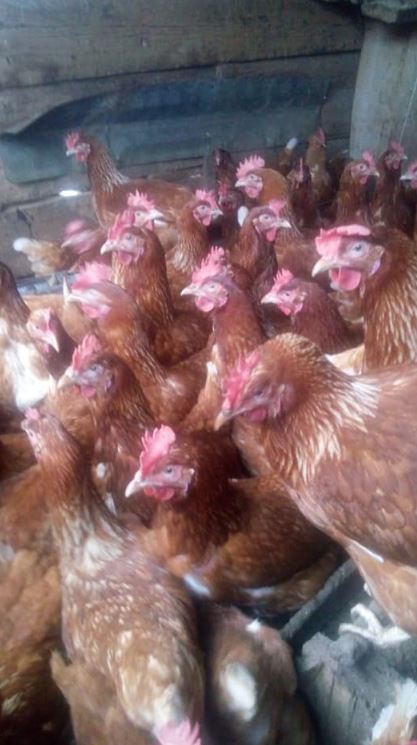 2015 Kigoro mission photo